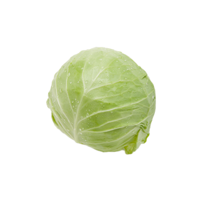 Cabbage PNG image-8812